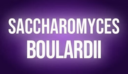 Saccharomyces boulardii