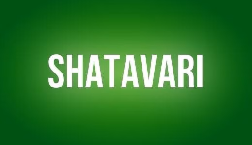 Shatavari