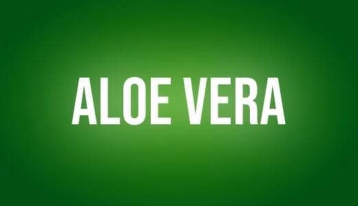 Aloe vera