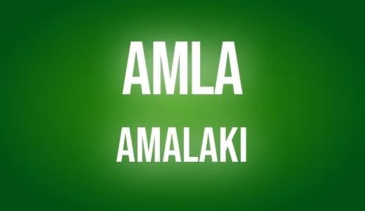 Amla
