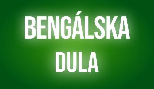 Bengalska dula