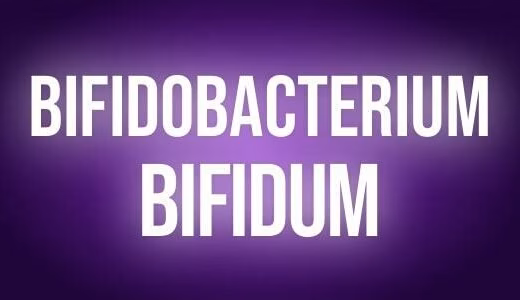 Bifidobacterium bifidum