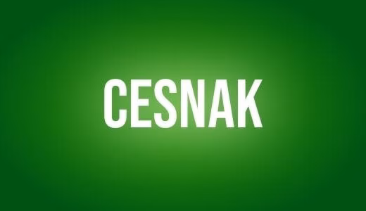 Cesnak