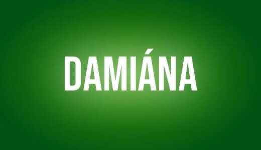 Damiana