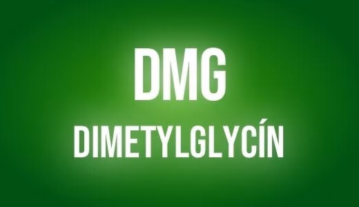 Dmg