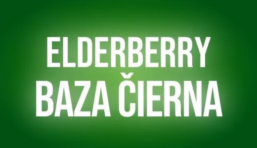 Elderberry