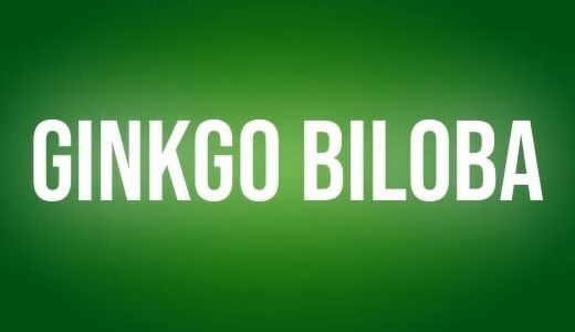 Ginko biloba