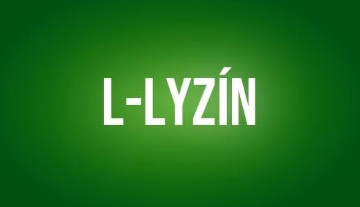 L lyzin