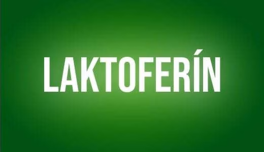 Laktoferin