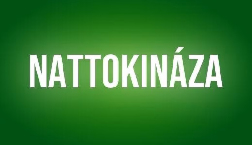 Nattokinaza