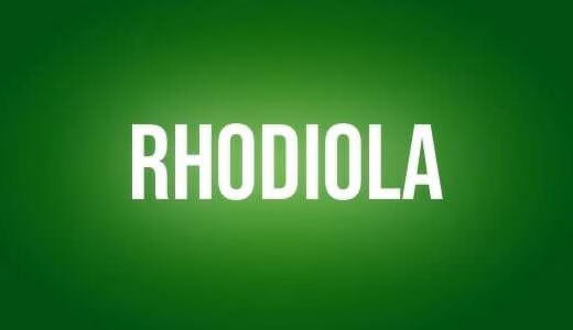 Rhodiola
