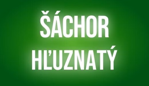 Sachor hluznaty