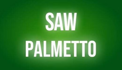 Saw palmetto