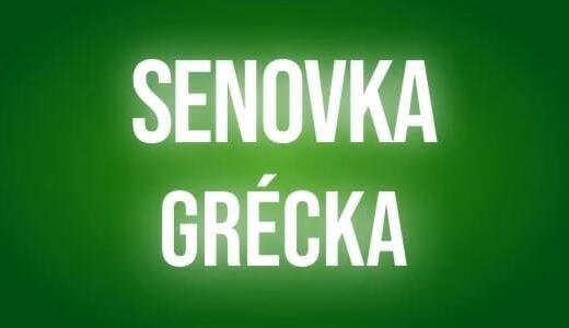 Senovka grecka