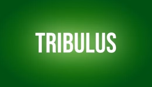 Tribulus