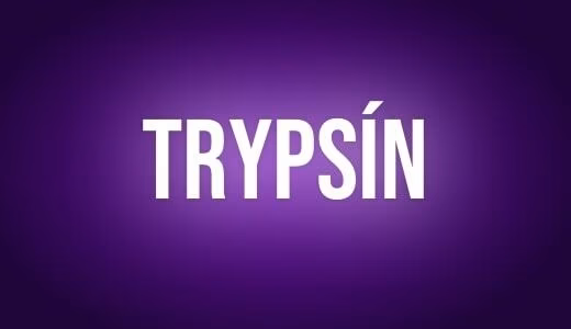 Trypsín