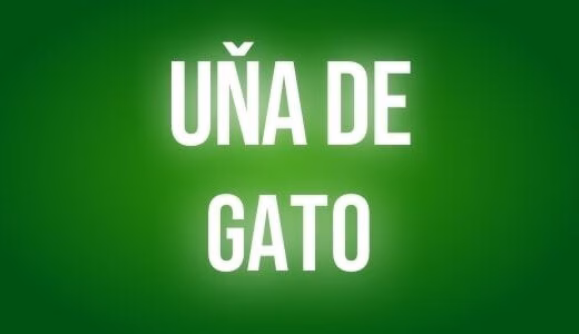 Una de gato