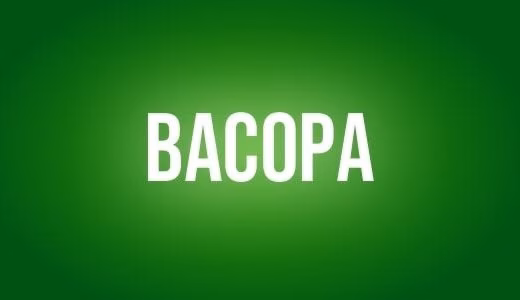 Bacopa