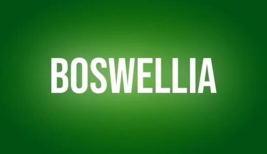 Boswellia