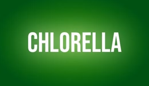 Chlorella