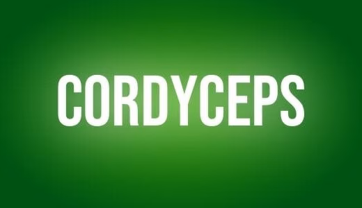 Cordyceps
