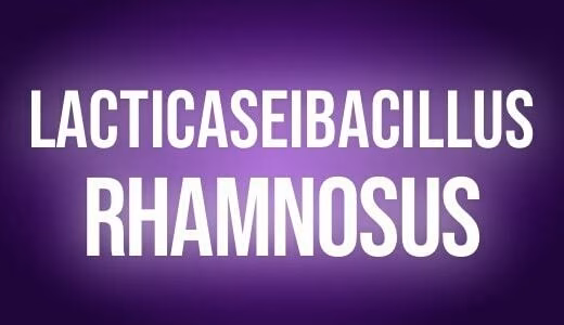 Lacticaseibacillus
